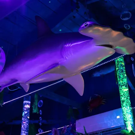 Сasa de vacaciones Underwater Voyage By Oc Adventure Homes Garden Grove